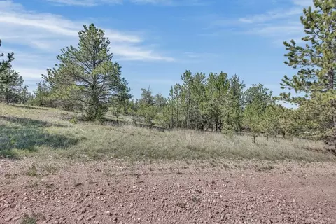 tbd Remington Rd, Custer, SD 57330 photo 18