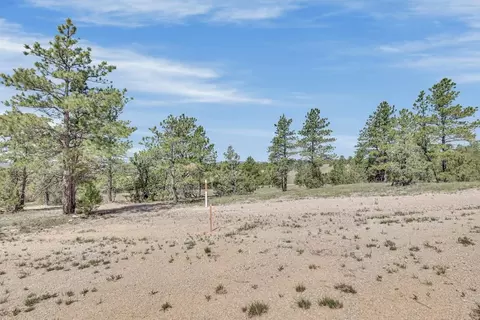 tbd Remington Rd, Custer, SD 57330 photo 34