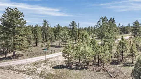 tbd Remington Rd, Custer, SD 57330 photo 3