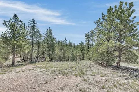 tbd Remington Rd, Custer, SD 57330 photo 33