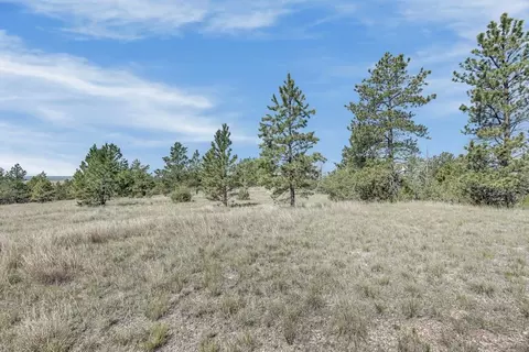 tbd Remington Rd, Custer, SD 57330 photo 23