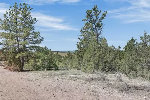 tbd Remington Rd, Custer, SD 57330 photo 30