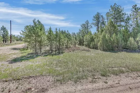 tbd Remington Rd, Custer, SD 57330 photo 11