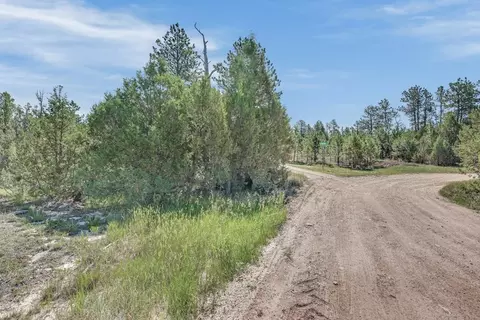 tbd Remington Rd, Custer, SD 57330 photo 14