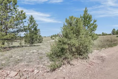 tbd Remington Rd, Custer, SD 57330 photo 38