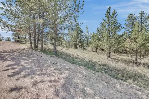 tbd Remington Rd, Custer, SD 57330 photo 16