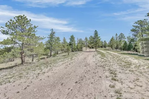 tbd Remington Rd, Custer, SD 57330 photo 35