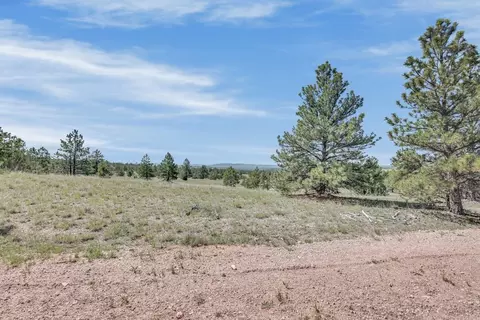 tbd Remington Rd, Custer, SD 57330 photo 25