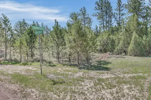 tbd Remington Rd, Custer, SD 57330 photo 13