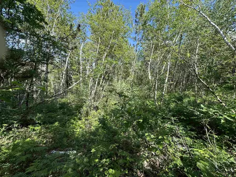 tbd Rocky Point Rd, Lead, SD 57754 photo 6