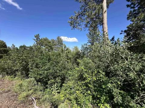 tbd Rocky Point Rd, Lead, SD 57754 photo 13
