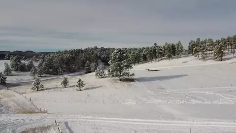 lot3 E Other, Keystone, SD 57751 photo 10