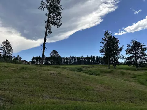 Blk 6 Lot 8, Hill City, SD 57745