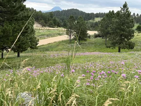 lot30 Summit Pass, Whitewood, SD 57793