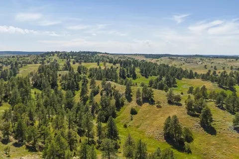 499 Government Canyon Rd, Hulett, WY 82720