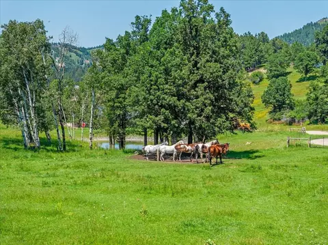 Other - tbd Legacy Pl, Sturgis, SD 57785 photo 12 of 12