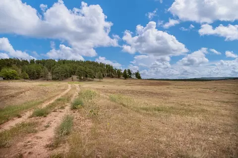 Other - 10251 Valley Rd, Edgemont, SD 57735 photo 13 of 15