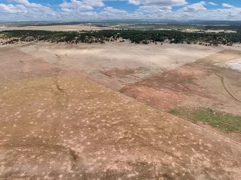 Other - 10251 Valley Rd, Edgemont, SD 57735 photo 9 of 15