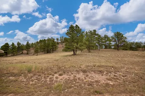 Other - 10251 Valley Rd, Edgemont, SD 57735 photo 15 of 15
