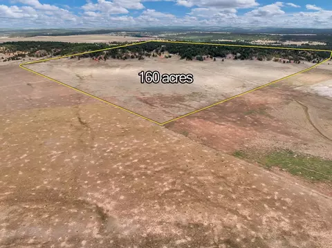 Other - 10251 Valley Rd, Edgemont, SD 57735 photo 10 of 15