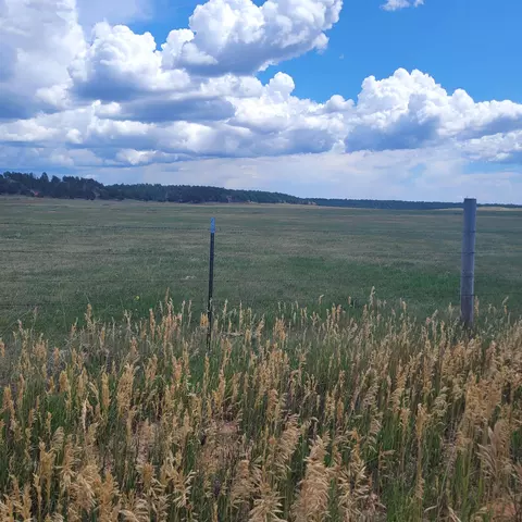 tbd Valley Rd, Edgemont, SD 57730 photo 3