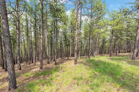 tbd Borglum Rd, Keystone, SD 57751 photo 4