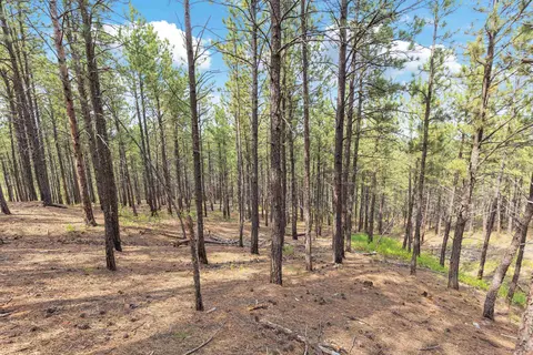 tbd Borglum Rd, Keystone, SD 57751 photo 5