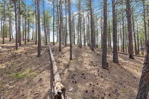 tbd Borglum Rd, Keystone, SD 57751 photo 6