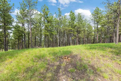 tbd Borglum Rd, Keystone, SD 57751 photo 3