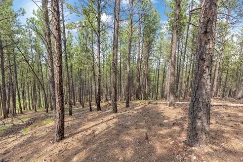 tbd Borglum Rd, Keystone, SD 57751 photo 7