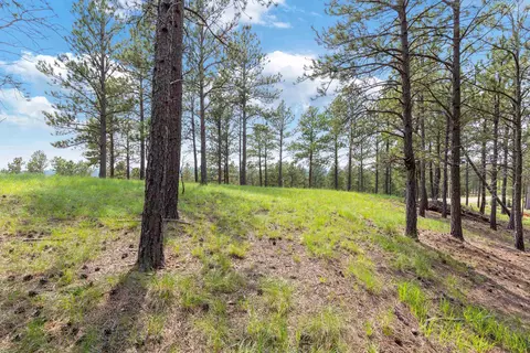 tbd Borglum Rd, Keystone, SD 57751 photo 8