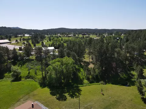View/Area - 599 W Mt Rushmore Rd, Custer, SD 57730 photo 3 of 9