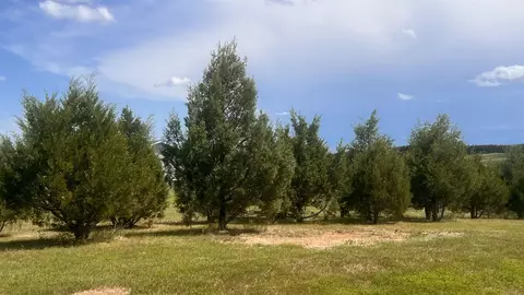 18918 Selah Ln, Belle Fourche, SD 57717 photo 31