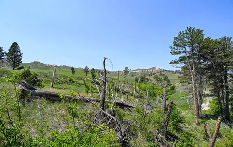 Other - 187 Milo Rd, Chadron, NE 69337 photo 11 of 23