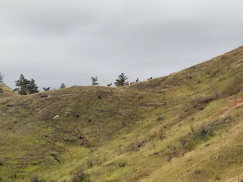Other - 187 Milo Rd, Chadron, NE 69337 photo 22 of 23