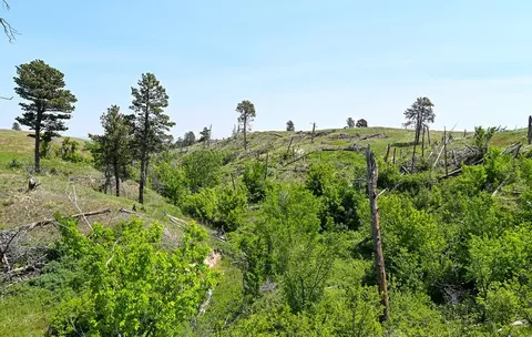 Other - 187 Milo Rd, Chadron, NE 69337 photo 10 of 23