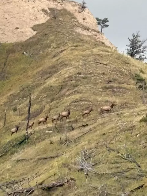Other - 187 Milo Rd, Chadron, NE 69337 photo 21 of 23