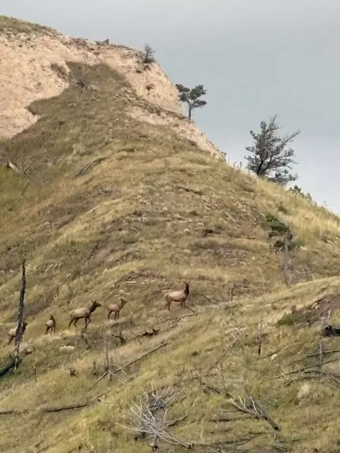 Other - 187 Milo Rd, Chadron, NE 69337 photo 20 of 23