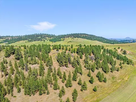 149 82- Acres, Whitewood, SD 57793 photo 6