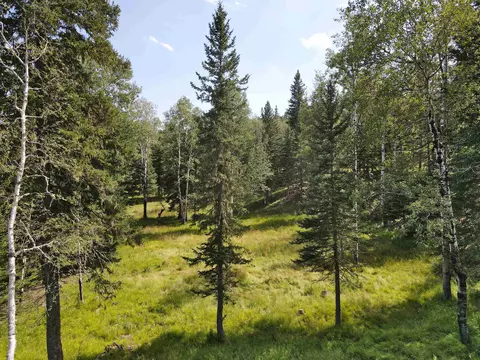 21334 Golden Slope Trl, Deadwood, SD 57732