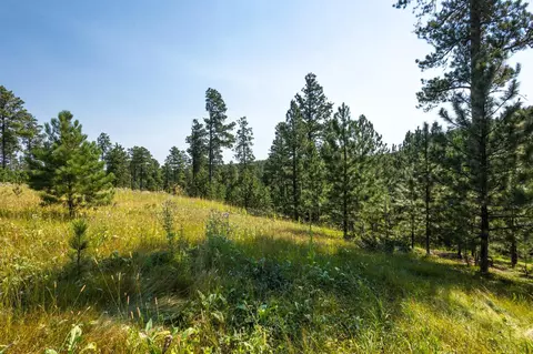 Tract 3 Magpie Road, Lead, SD 57754 photo 5
