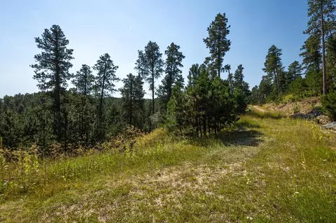 Tract 3 Magpie Road, Lead, SD 57754 photo 2