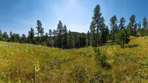Tract 3 Magpie Road, Lead, SD 57754 photo 8