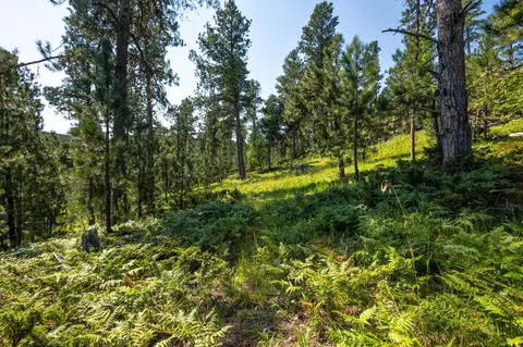 Tract 3 Magpie Road, Lead, SD 57754 photo 7