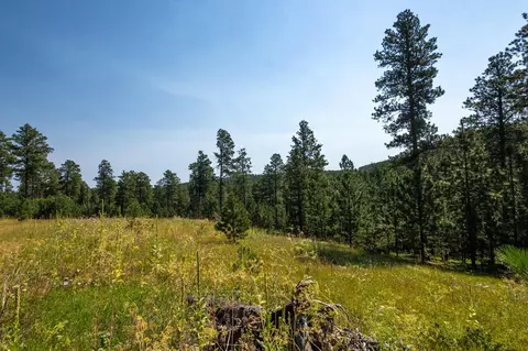 Tract 3 Magpie Road, Lead, SD 57754 photo 3