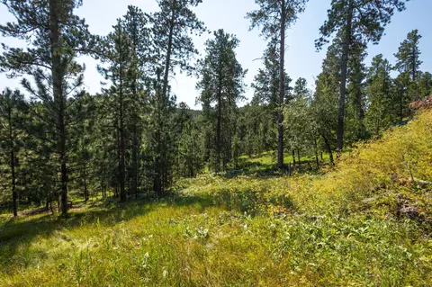 Tract 3 Magpie Road, Lead, SD 57754 photo 4