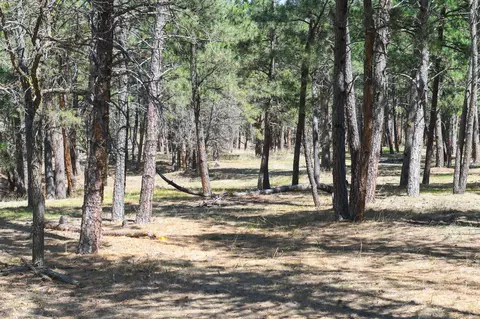lot O, Belle Fourche, SD 57717 photo 4