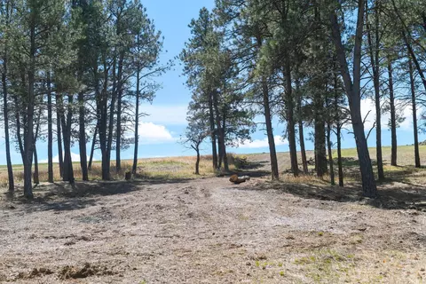 lot O, Belle Fourche, SD 57717 photo 7