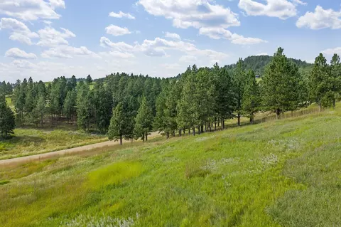 lot3 Prairie View Loop, Whitewood, SD 57793 photo 6