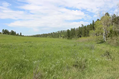 11246 Custer Limestone Rd, Custer, SD 57730 photo 28